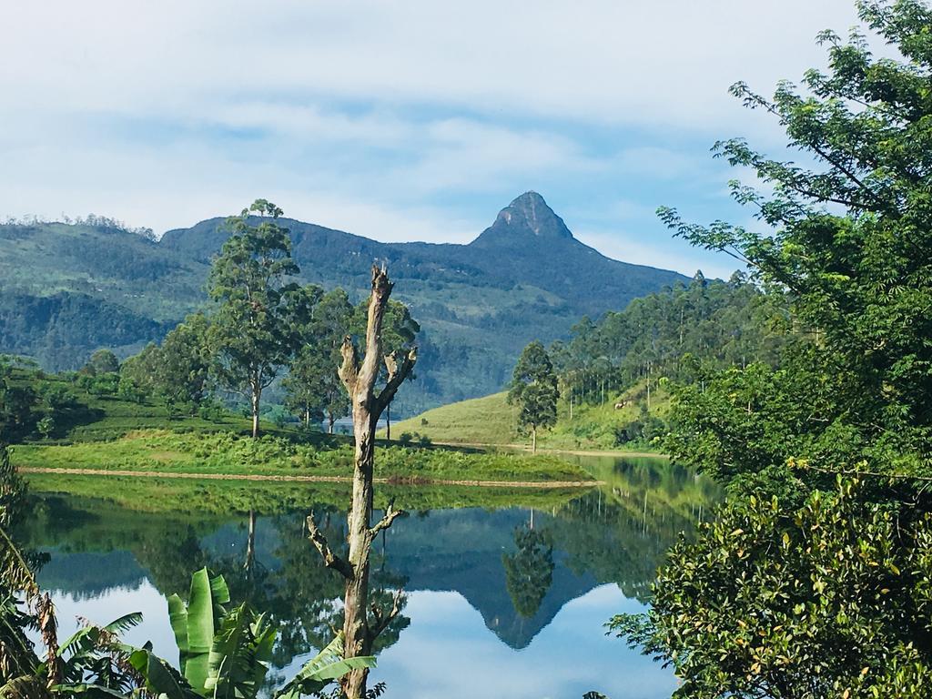 Butterfly Mountain Lake Side Maskeliya Εξωτερικό φωτογραφία
