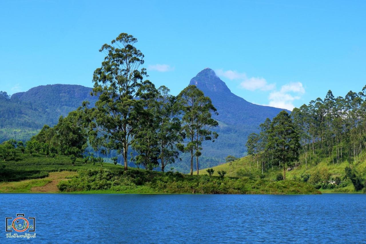 Butterfly Mountain Lake Side Maskeliya Εξωτερικό φωτογραφία